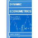 Dynamic Econometrics