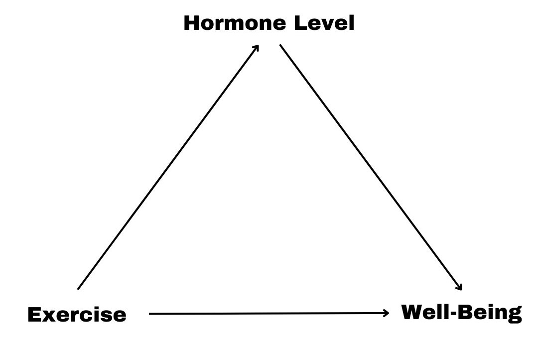 Hormone Level - 1
